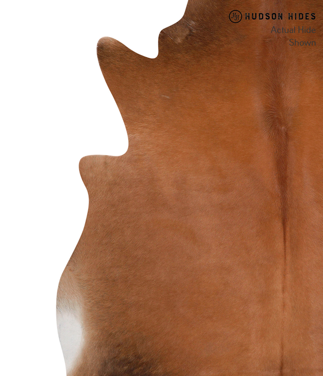 Solid Brown X-Large Brazilian Cowhide Rug 6'3"H x 6'5"W #86069 by Huds
