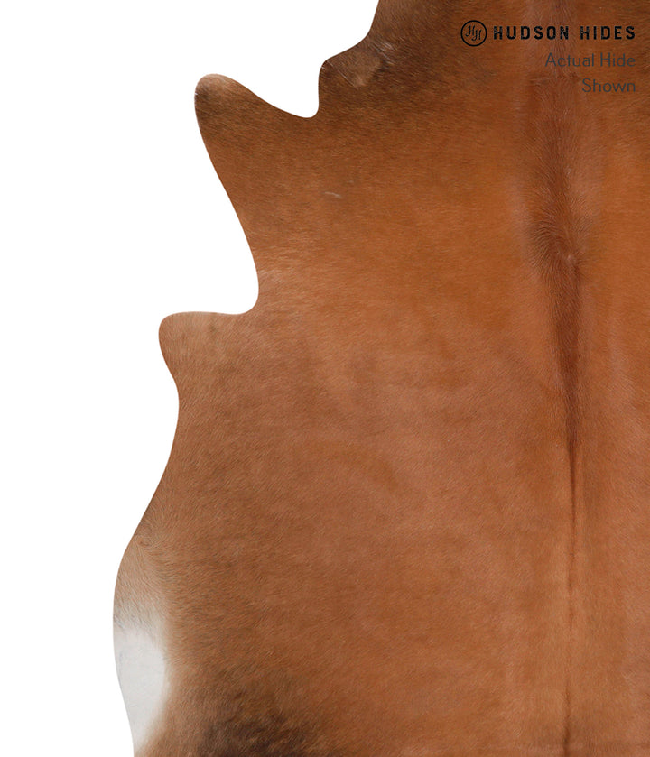 Solid Brown X-Large Brazilian Cowhide Rug 6'3"H x 6'5"W #86069 by Hudson Hides