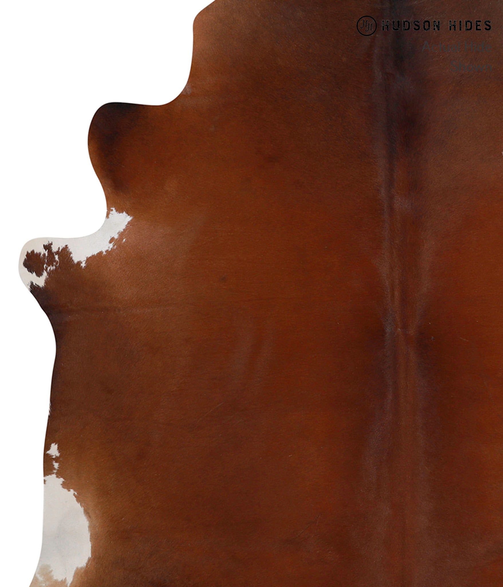 Brown with Red Cowhide Rug #86083