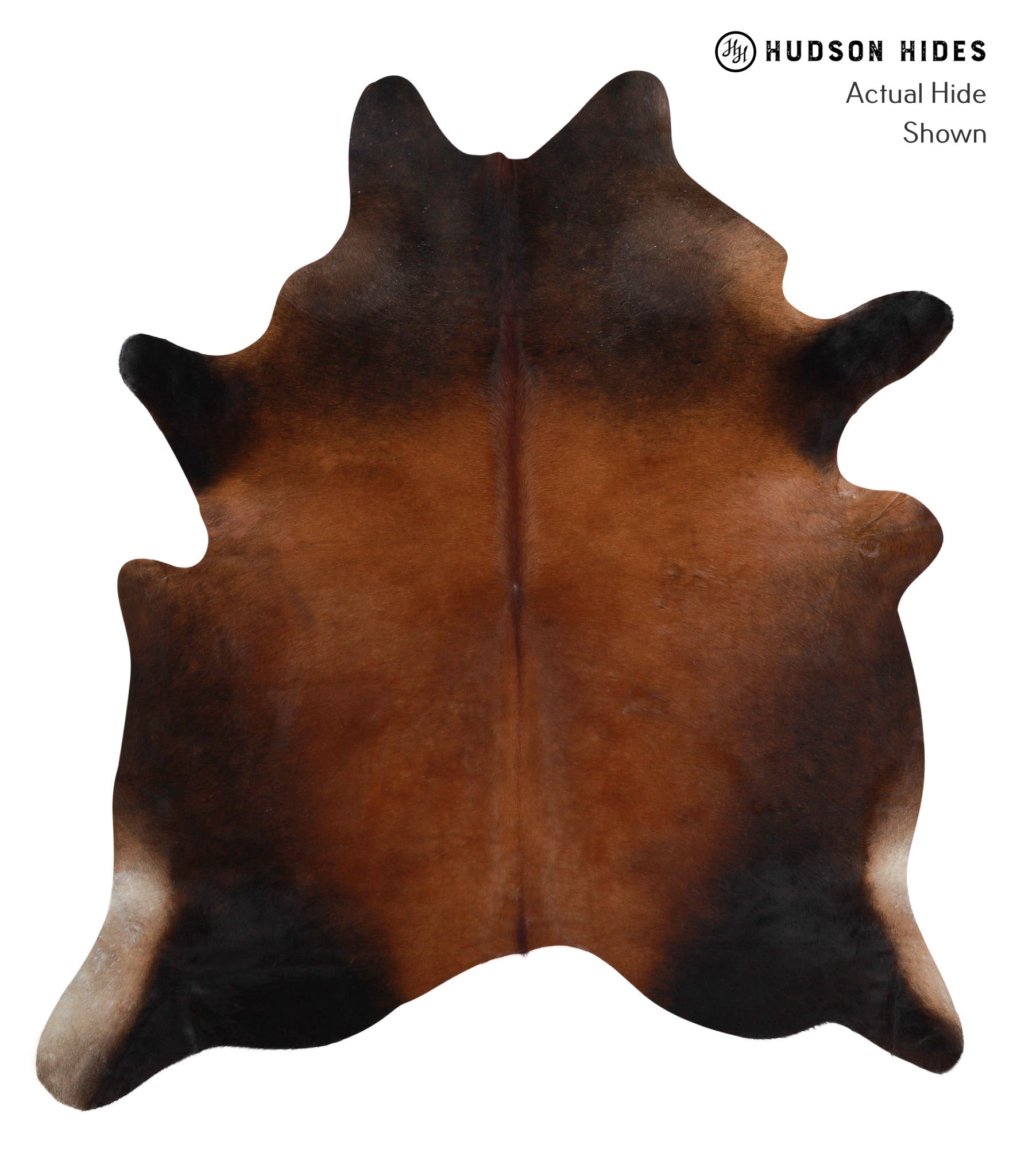 Brown with Red Cowhide Rug #86091