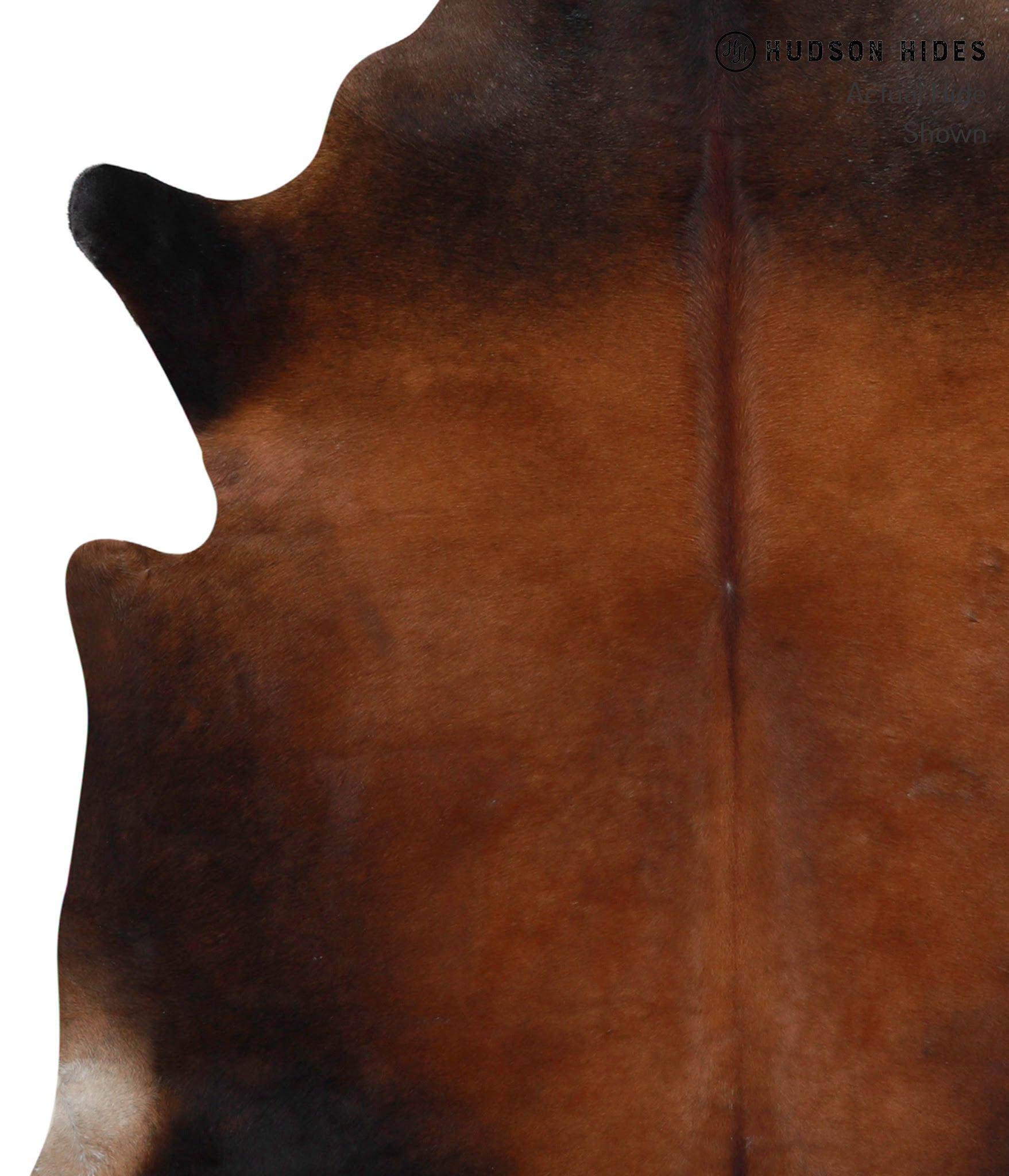 Brown with Red Cowhide Rug #86091