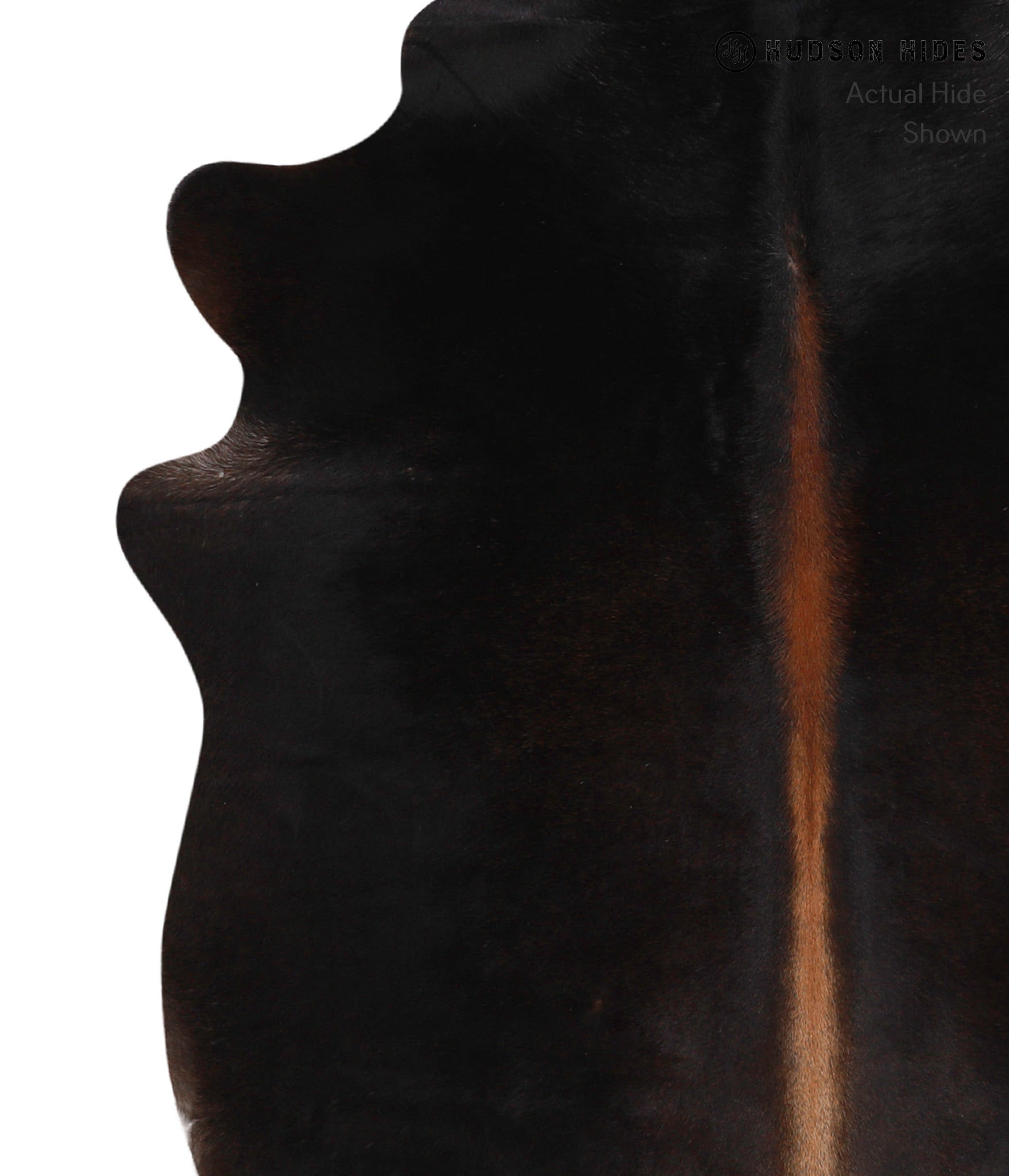 Chocolate Cowhide Rug #86249