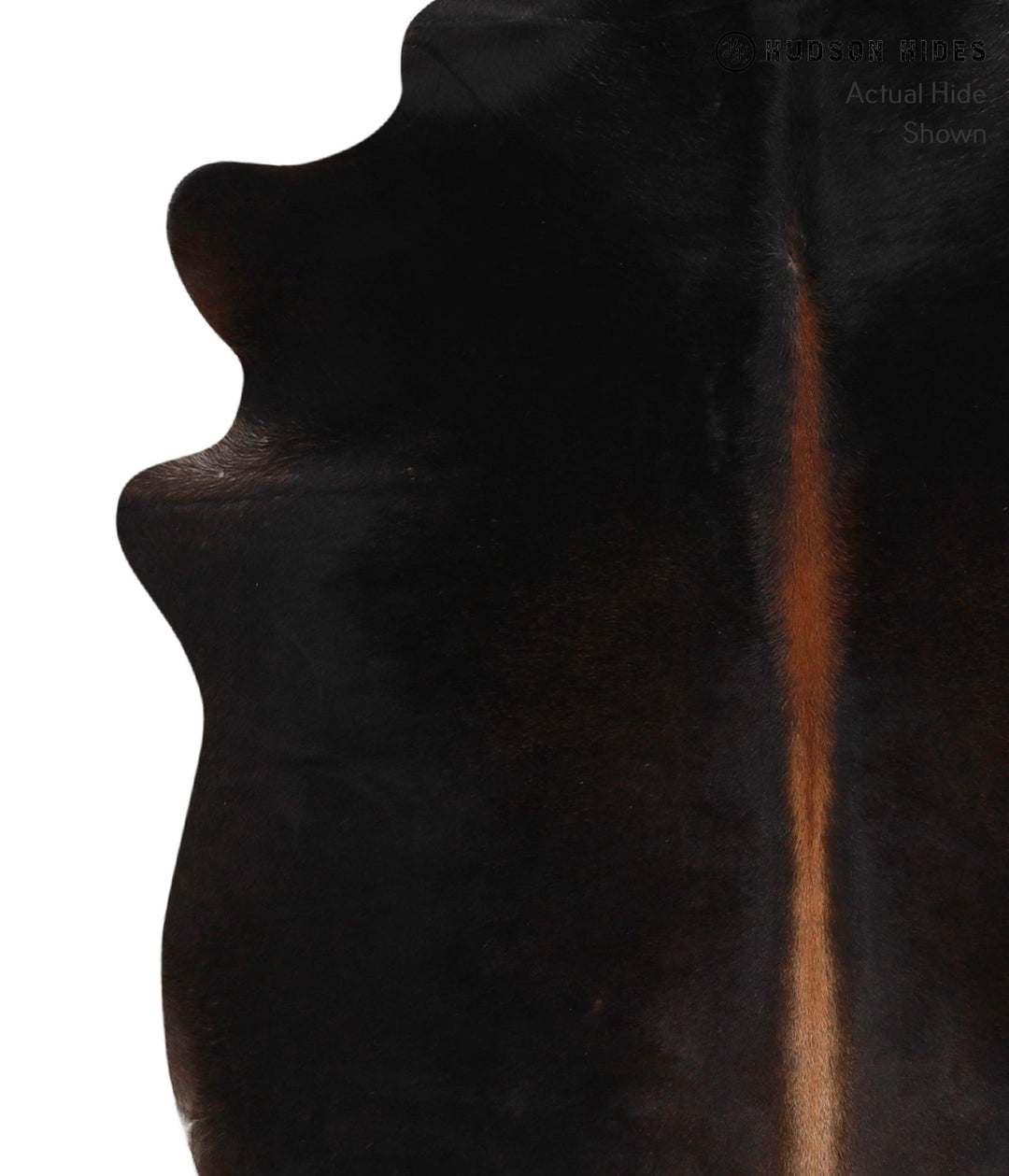 Chocolate Large Brazilian Cowhide Rug 6'6"H x 5'1"W #86249 by Hudson H