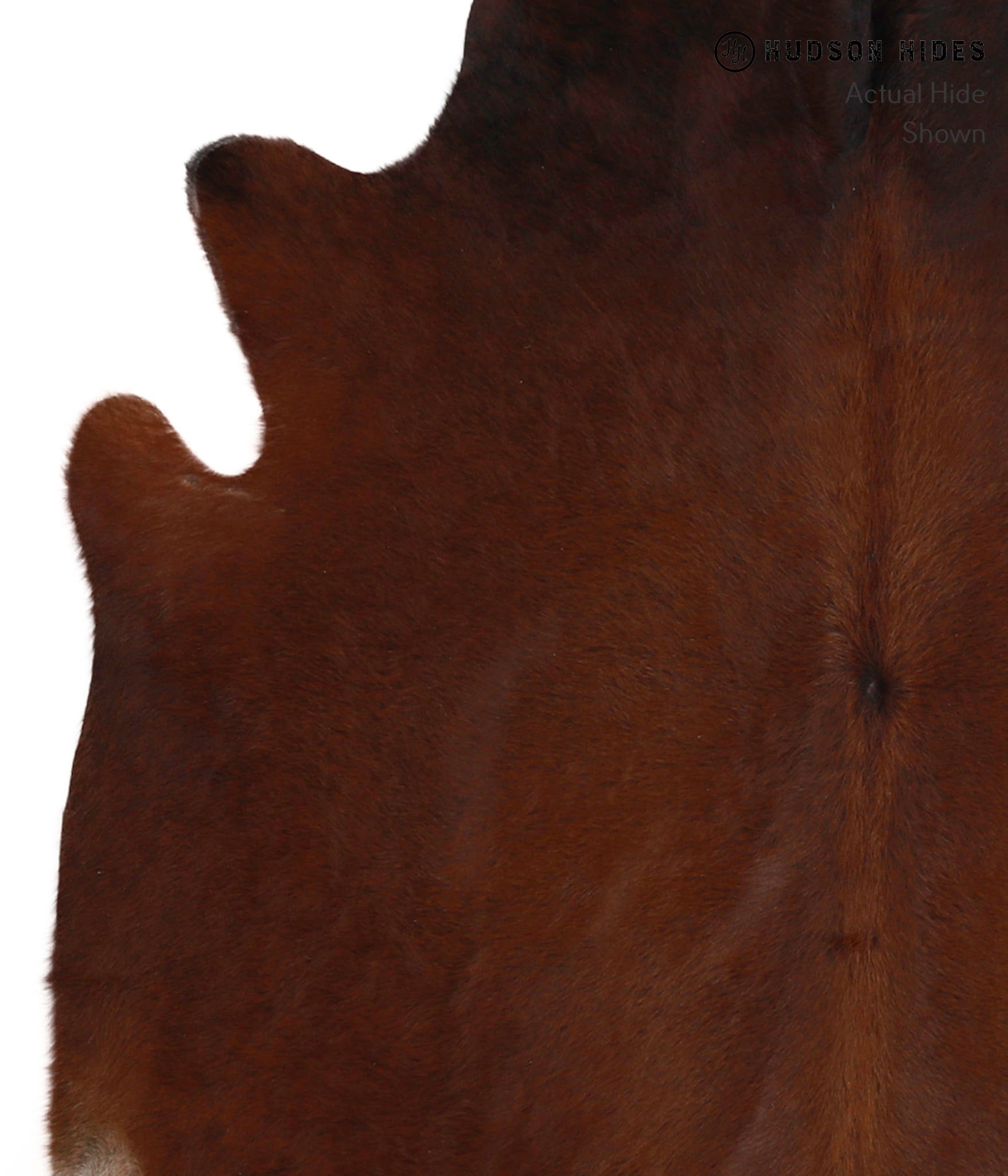 Brown with Red Cowhide Rug #86256