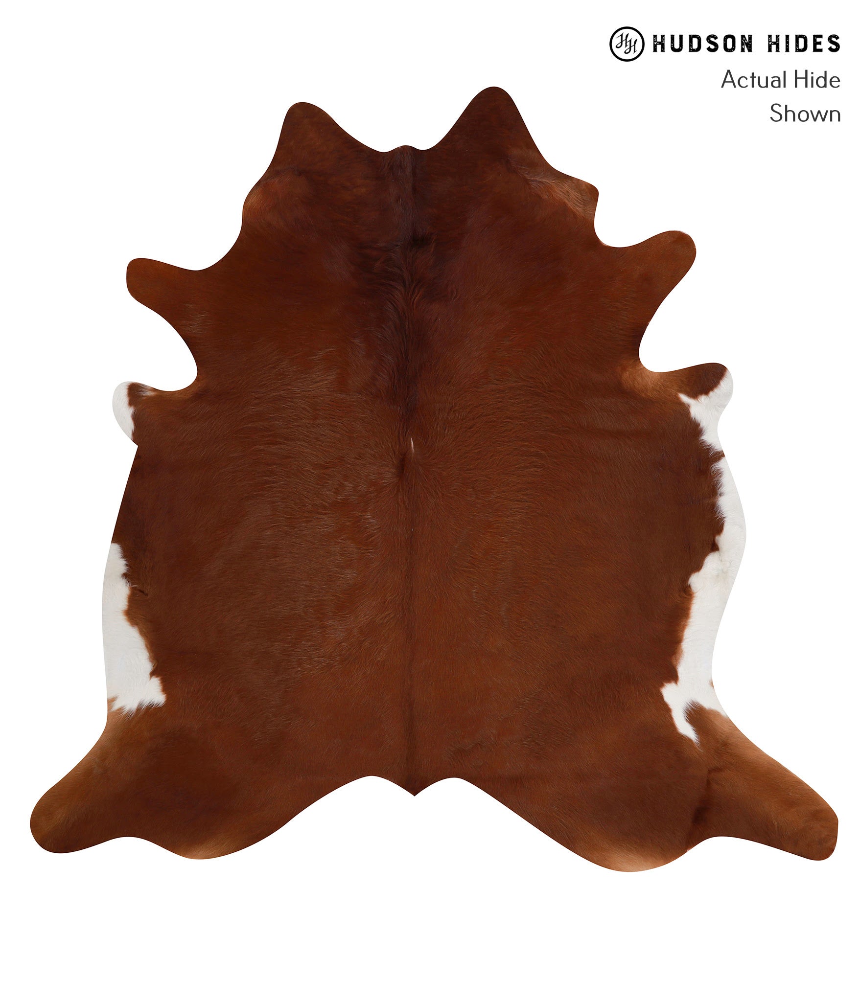 Solid Brown Cowhide Rug #86341
