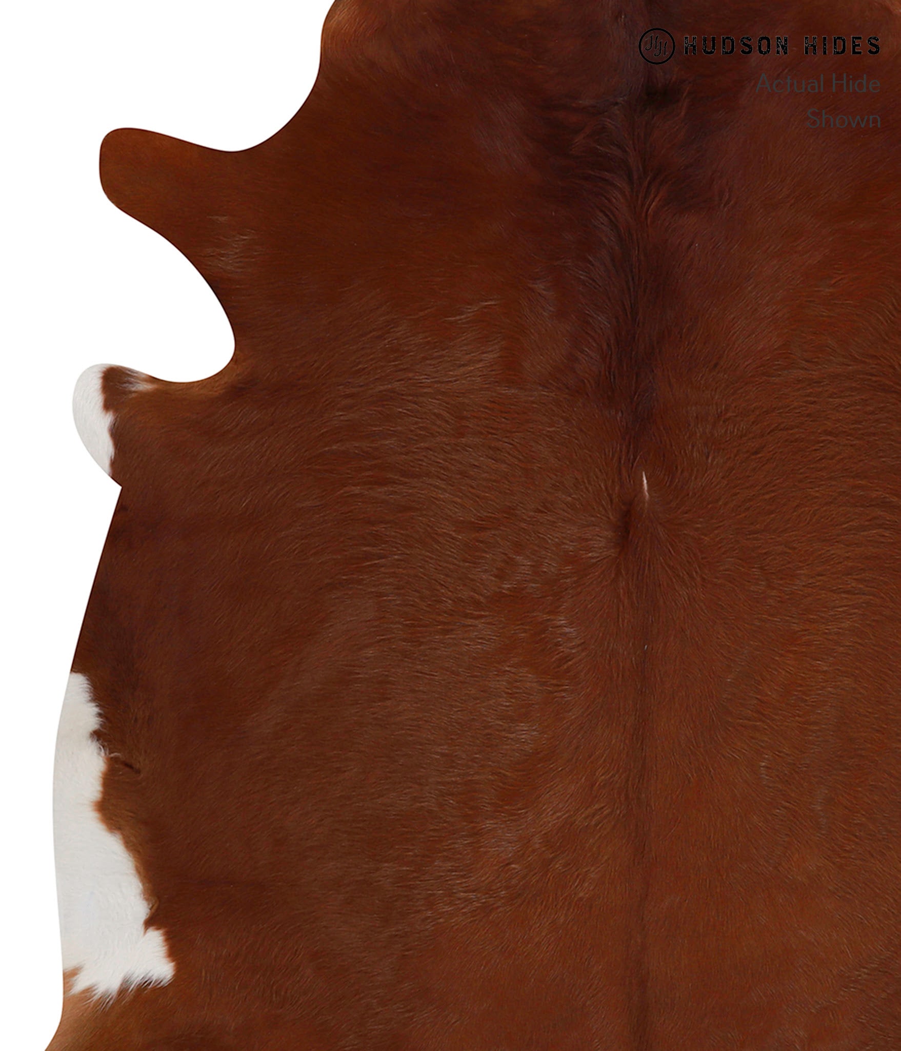 Solid Brown Cowhide Rug #86341