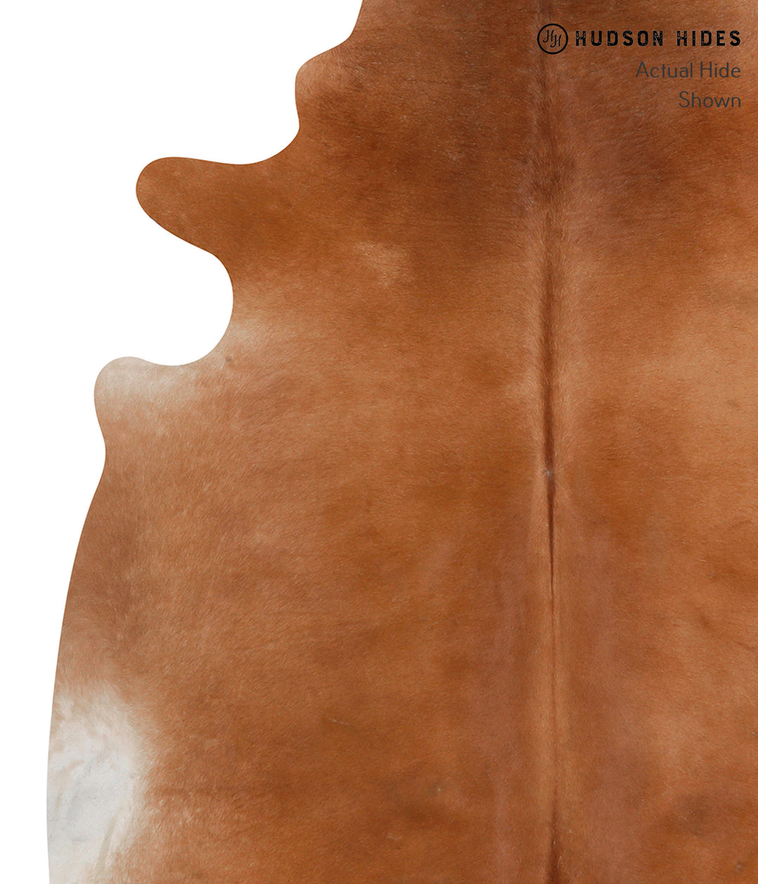 Solid Brown X-Large Brazilian Cowhide Rug 6'6"H x 6'4"W #86343 by Huds