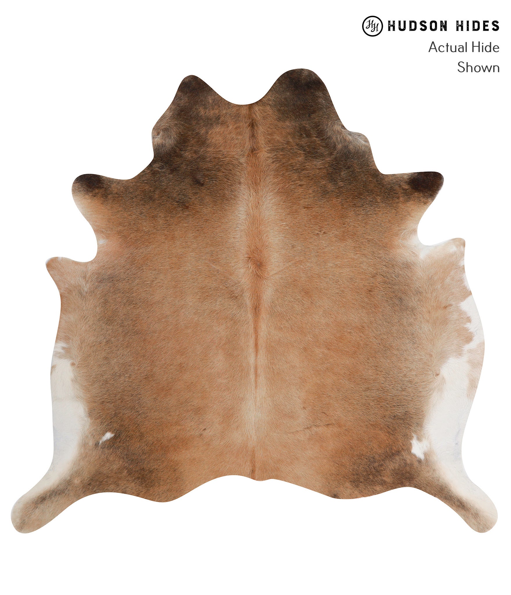 Brown with Red Cowhide Rug #86366