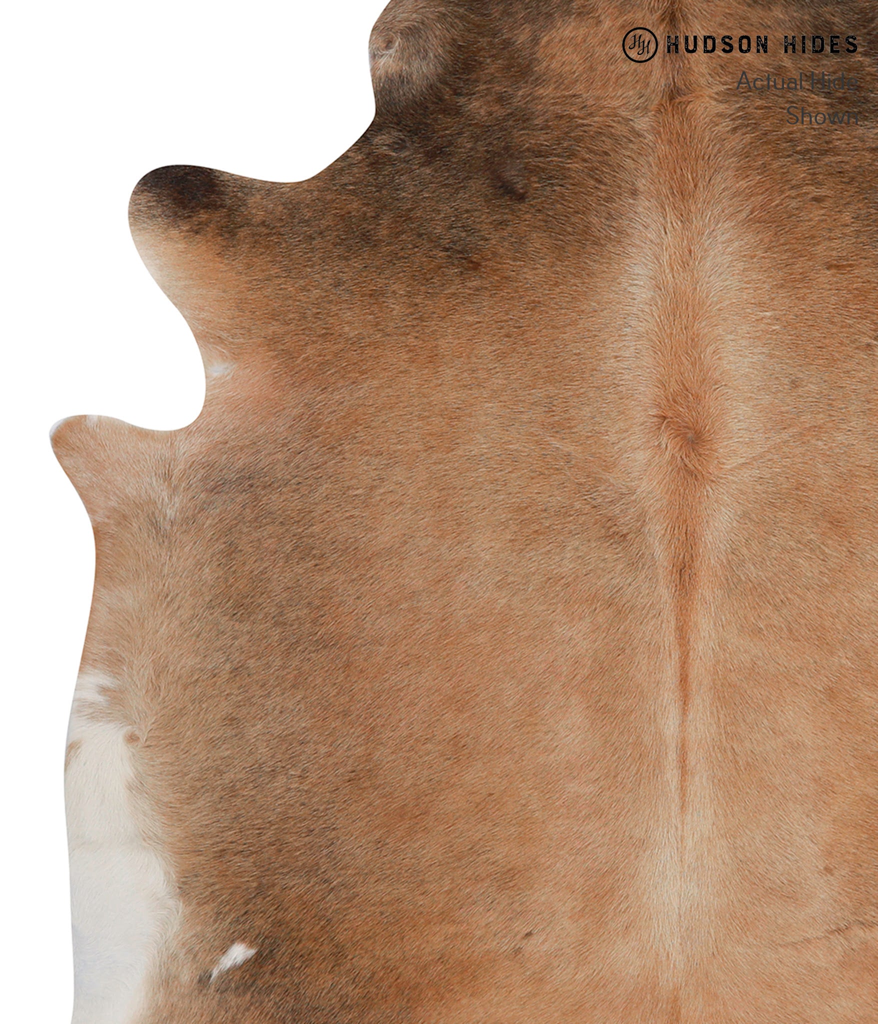 Brown with Red Cowhide Rug #86366