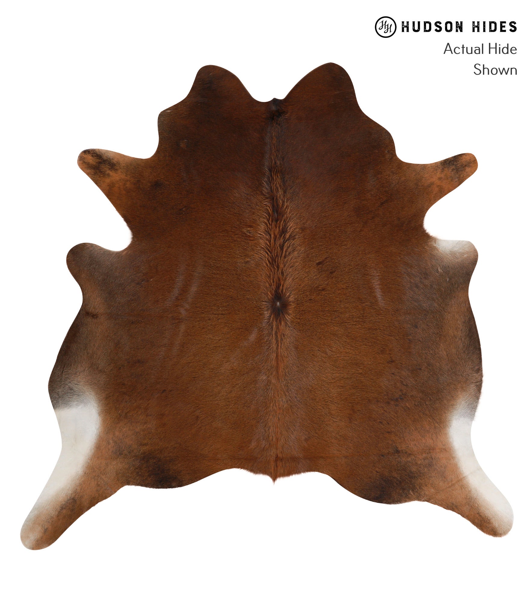 Chocolate Cowhide Rug #86410
