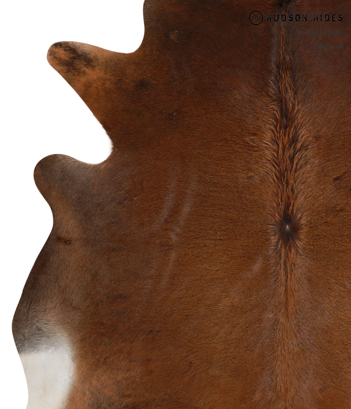 Chocolate X-Large Brazilian Cowhide Rug 6'7"H x 6'7"W #86410 by Hudson Hides