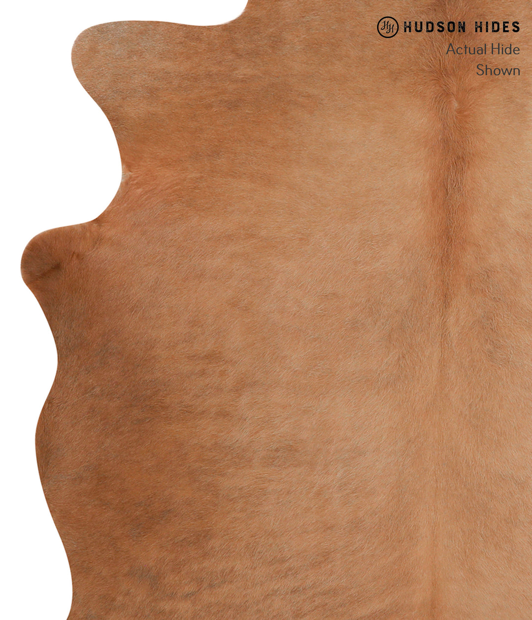 Solid Brown X-Large Brazilian Cowhide Rug 6'6"H x 6'2"W #86423 by Huds