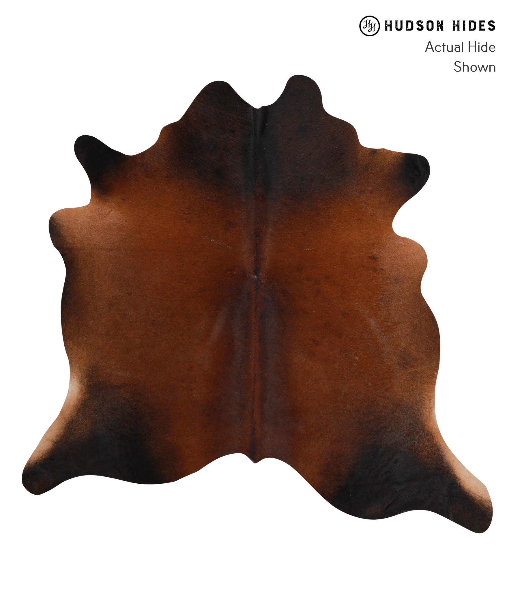 Brown with Red Cowhide Rug #86439