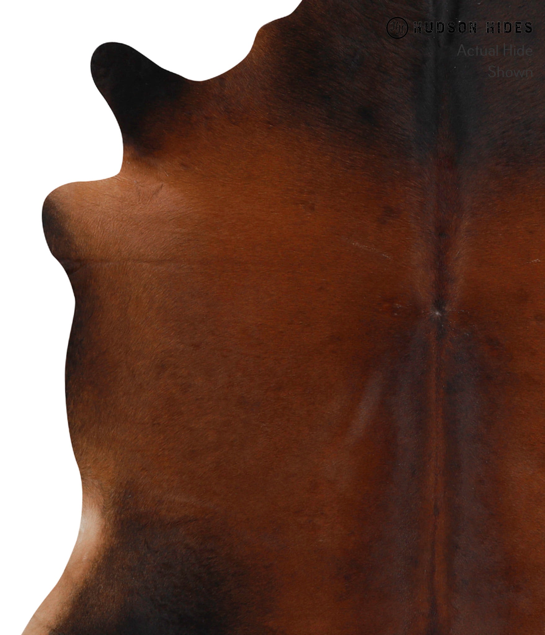 Brown with Red Cowhide Rug #86439