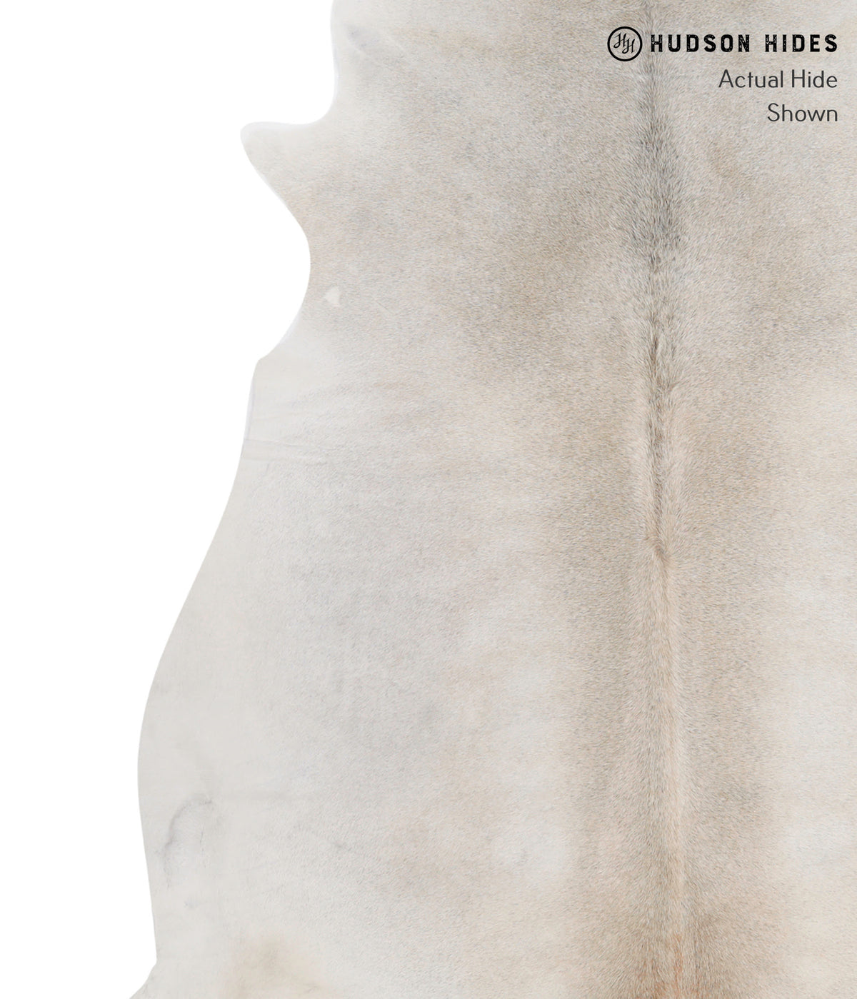 Medium Grey X-Large Brazilian Cowhide Rug 7'2"H x 6'10"W #88922 by Hudson Hides