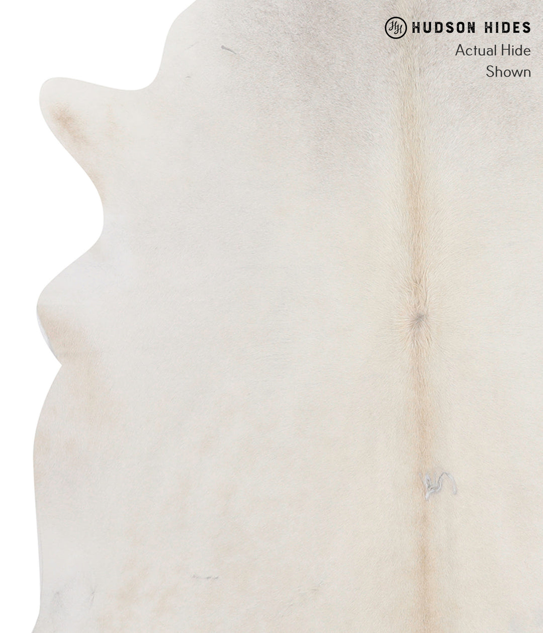 Ivory with Beige X-Large Brazilian Cowhide Rug 6'10"H x 6'9"W #90100 b