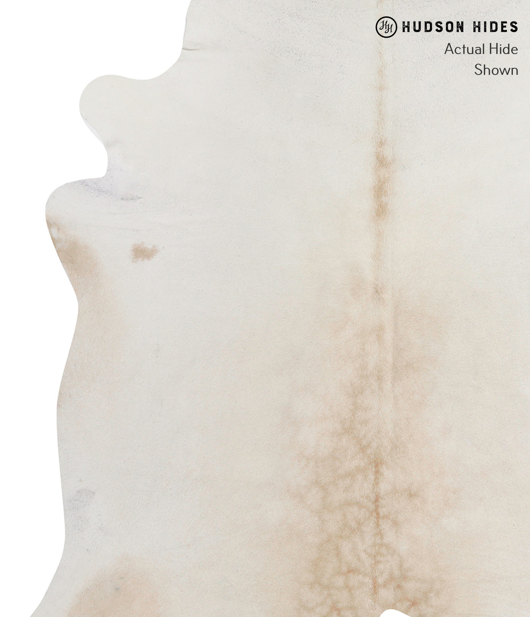 Ivory with Beige XX-Large Brazilian Cowhide Rug 7'4"H x 7'5"W #91027 b