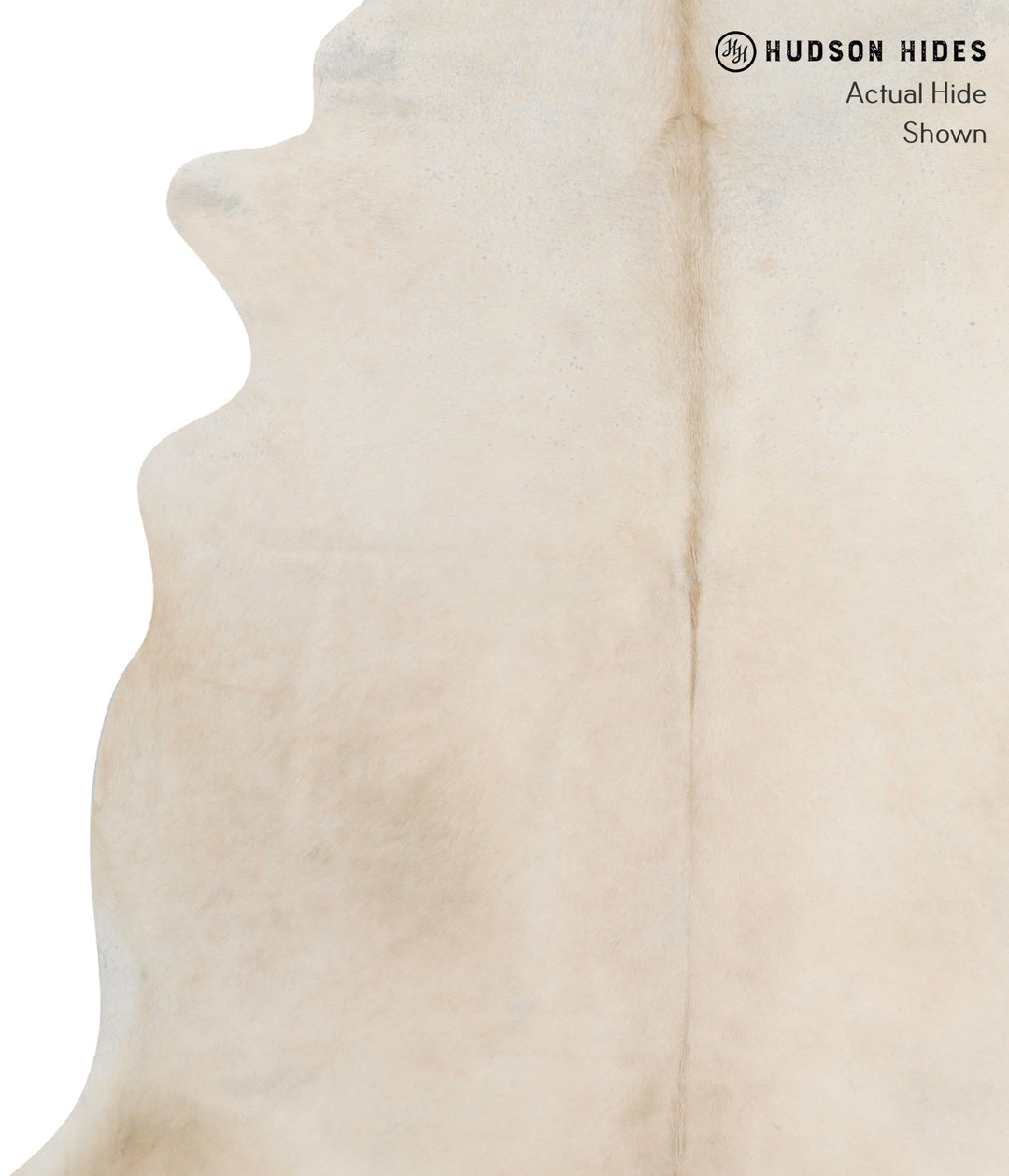 Palomino X-Large Brazilian Cowhide Rug 6'10"H x 6'5"W #92401 by Hudson