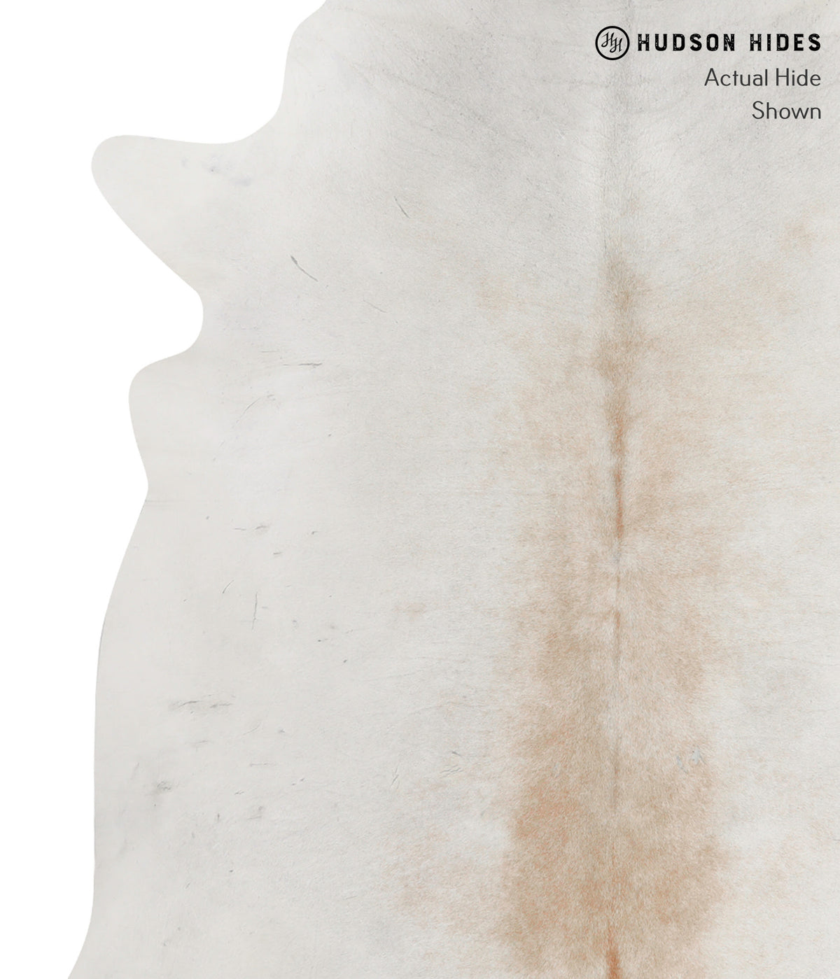 Grey with Beige XX-Large Brazilian Cowhide Rug 7'1"H x 7'4"W #92652 by Hudson Hides