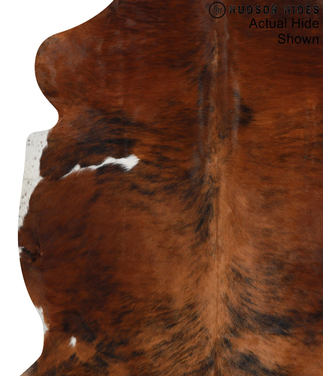 Medium Brindle X-Large European Cowhide Rug 7'7"H x 6'1"W #93952 by Hu