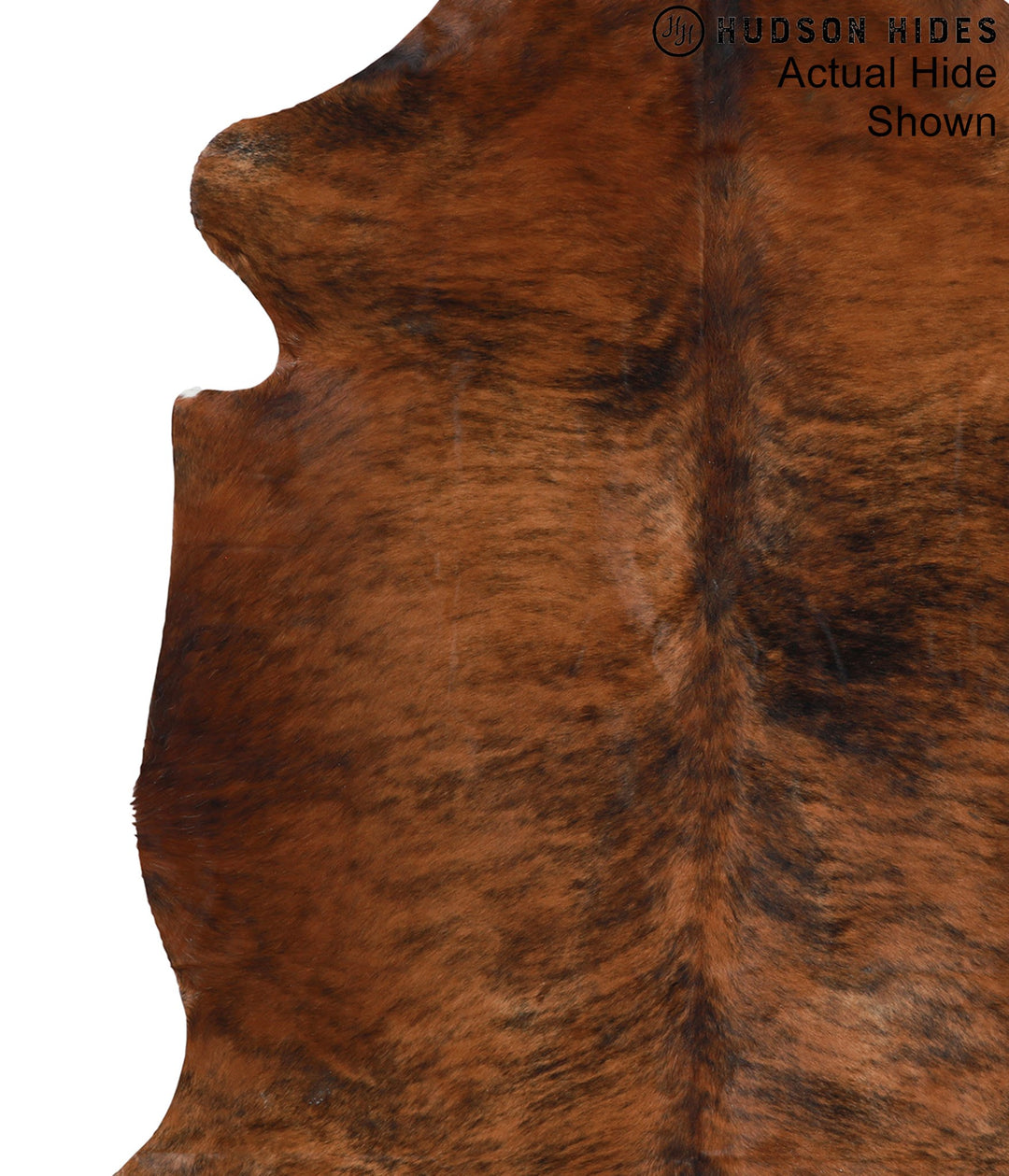 Medium Brindle X-Large European Cowhide Rug 7'7"H x 6'6"W #94290 by Hu