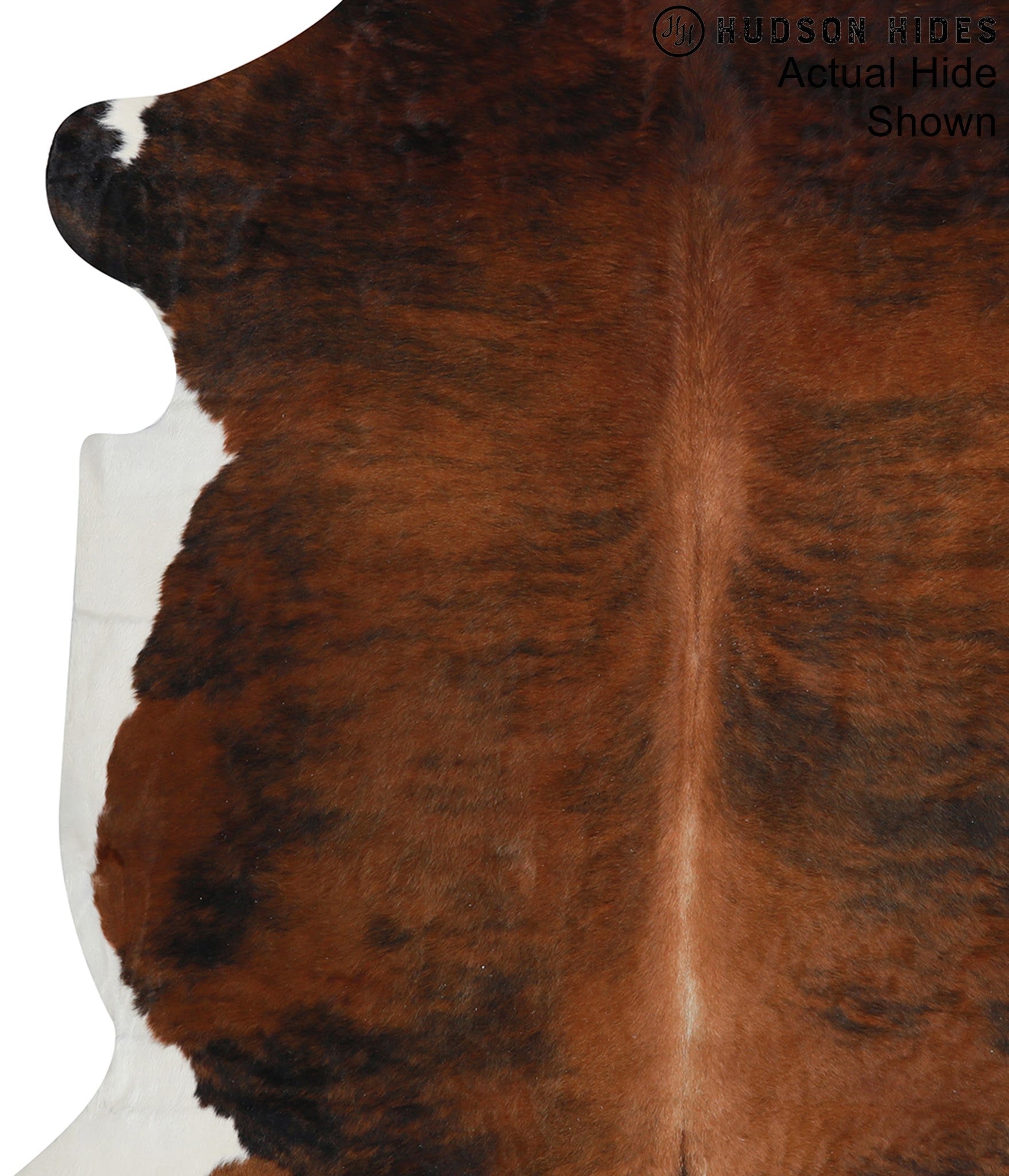Medium Brindle Cowhide Rug #94521