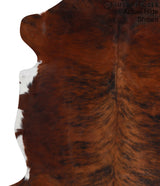 Medium Brindle X-Large European Cowhide Rug 6'8"H x 6'3"W #95216 by Hudson Hides