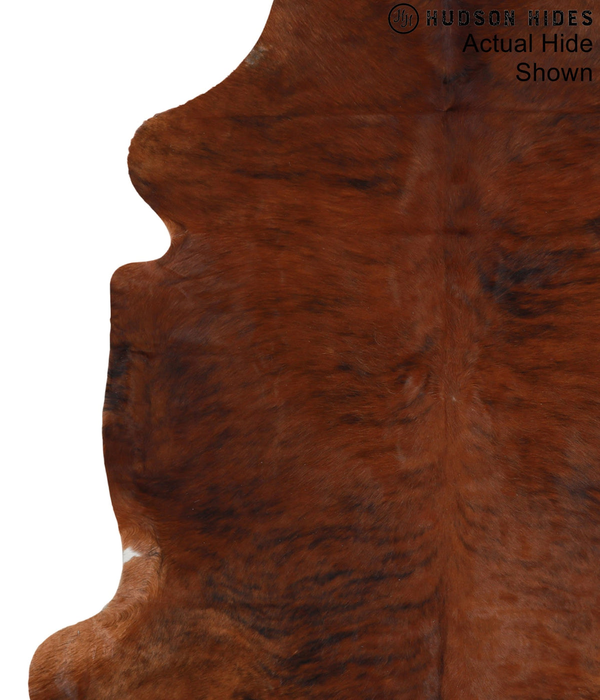 Medium Brindle X-Large European Cowhide Rug 6'5"H x 6'6"W #95321 by Hudson Hides