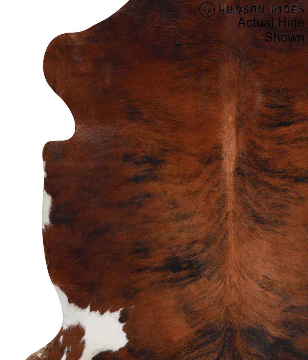 Medium Brindle X-Large European Cowhide Rug 6'9"H x 6'1"W #95357 by Hu