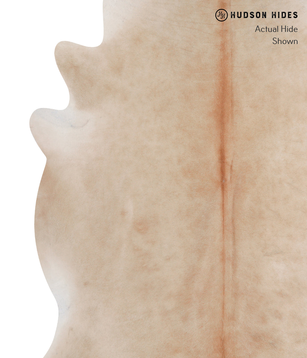 Beige XX-Large Brazilian Cowhide Rug 7'9"H x 6'7"W #A3269 by Hudson Hi