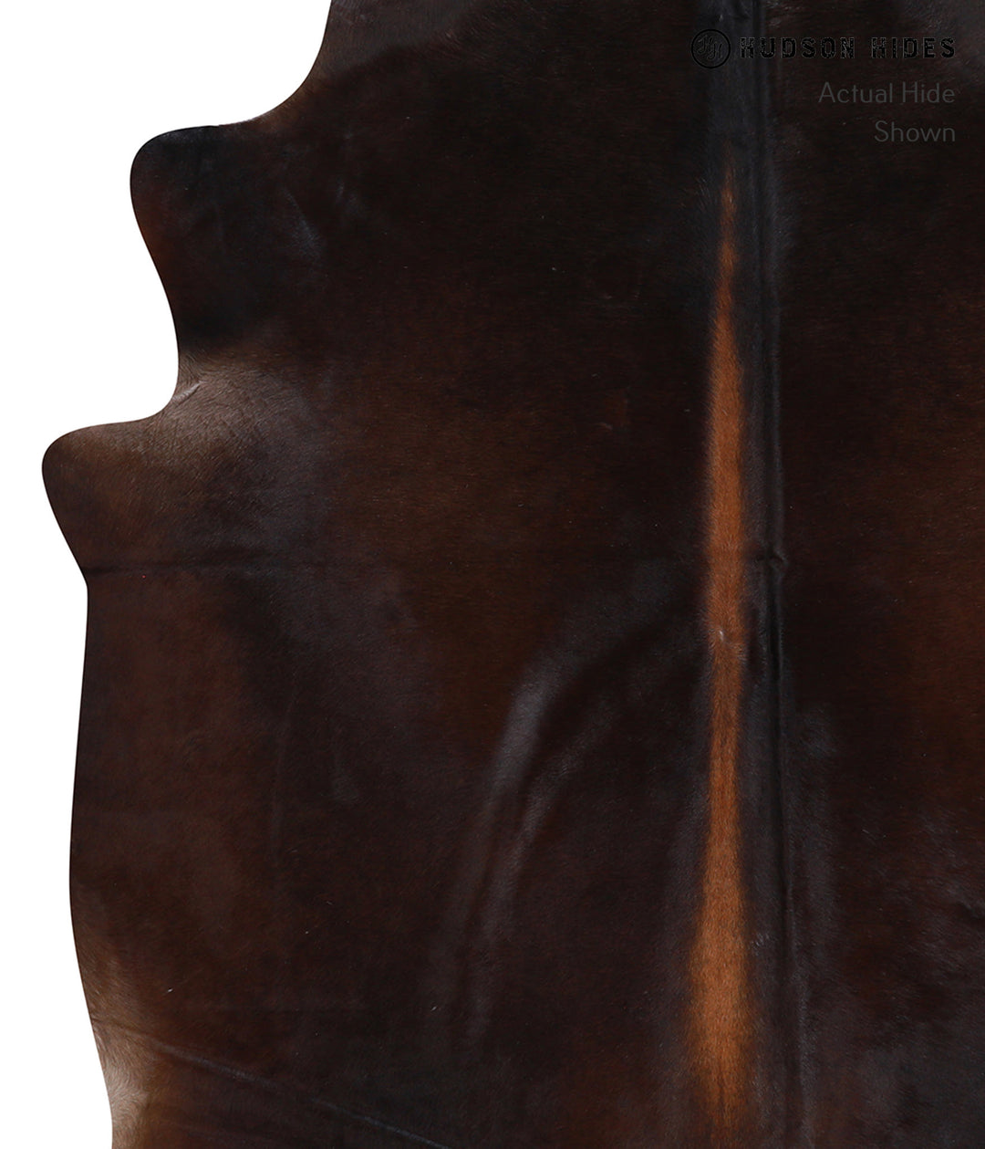 Chocolate X-Large Brazilian Cowhide Rug 7'6"H x 6'3"W #A3354 by Hudson