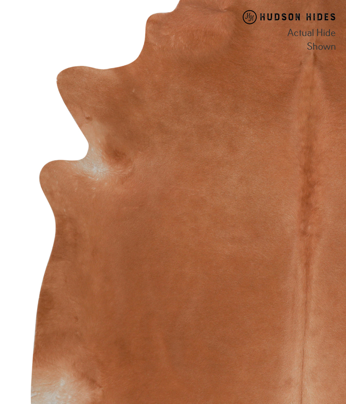 Solid Brown Cowhide Rug #A3426