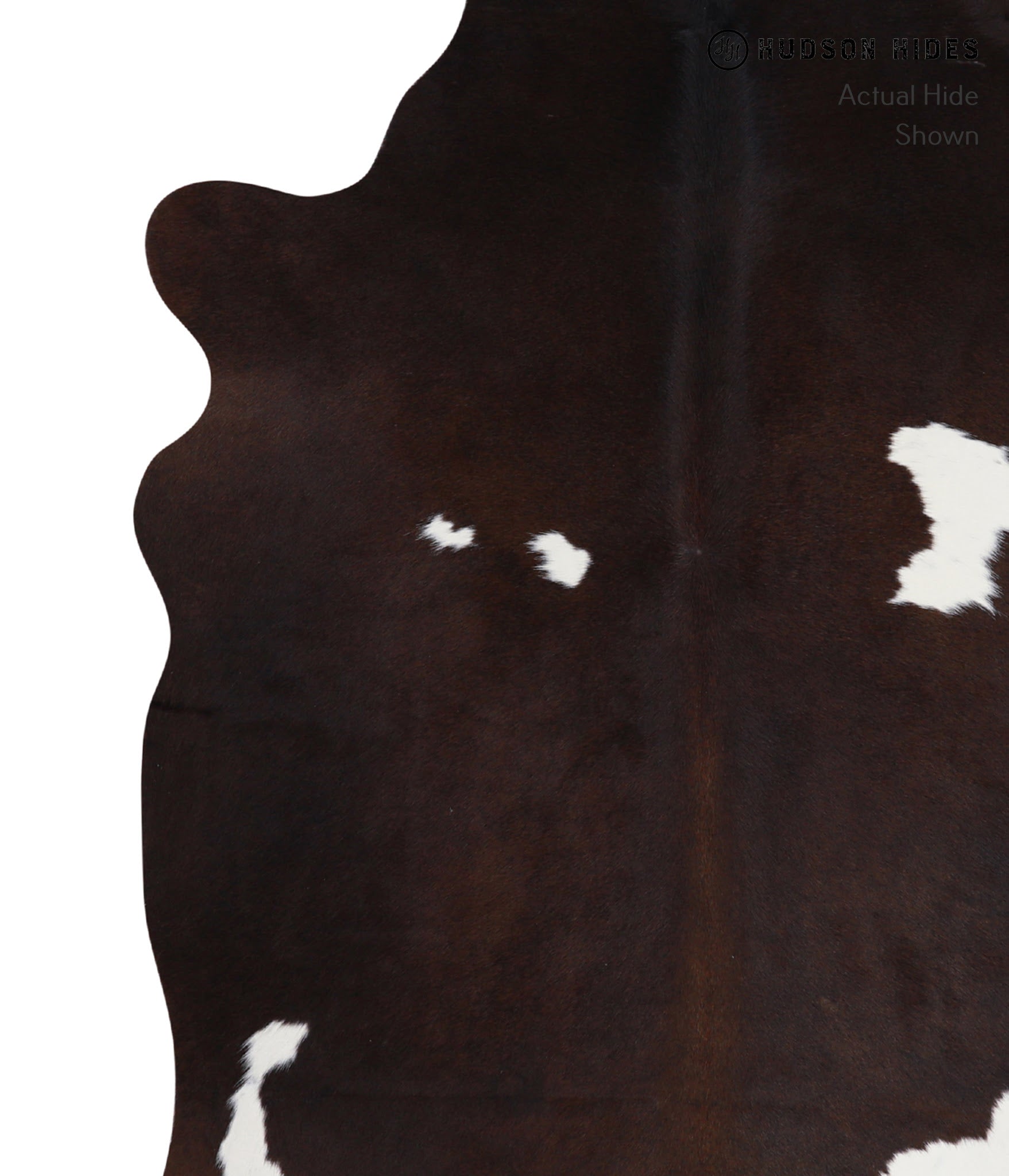 Chocolate and White Cowhide Rug #A3430
