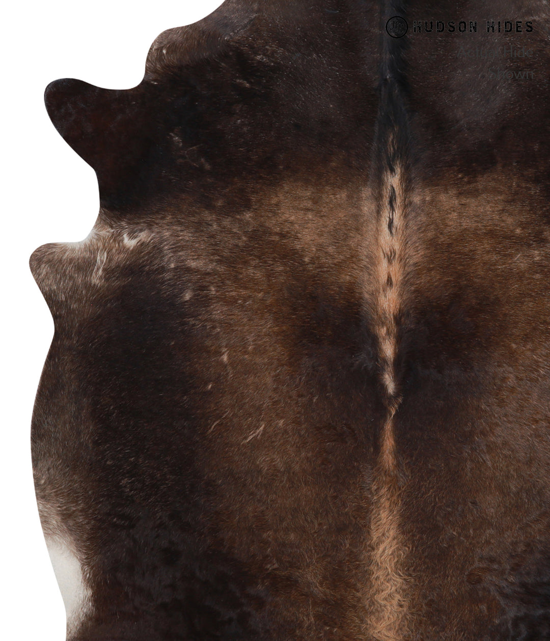 Chocolate X-Large Brazilian Cowhide Rug 7'2"H x 6'1"W #A3435 by Hudson