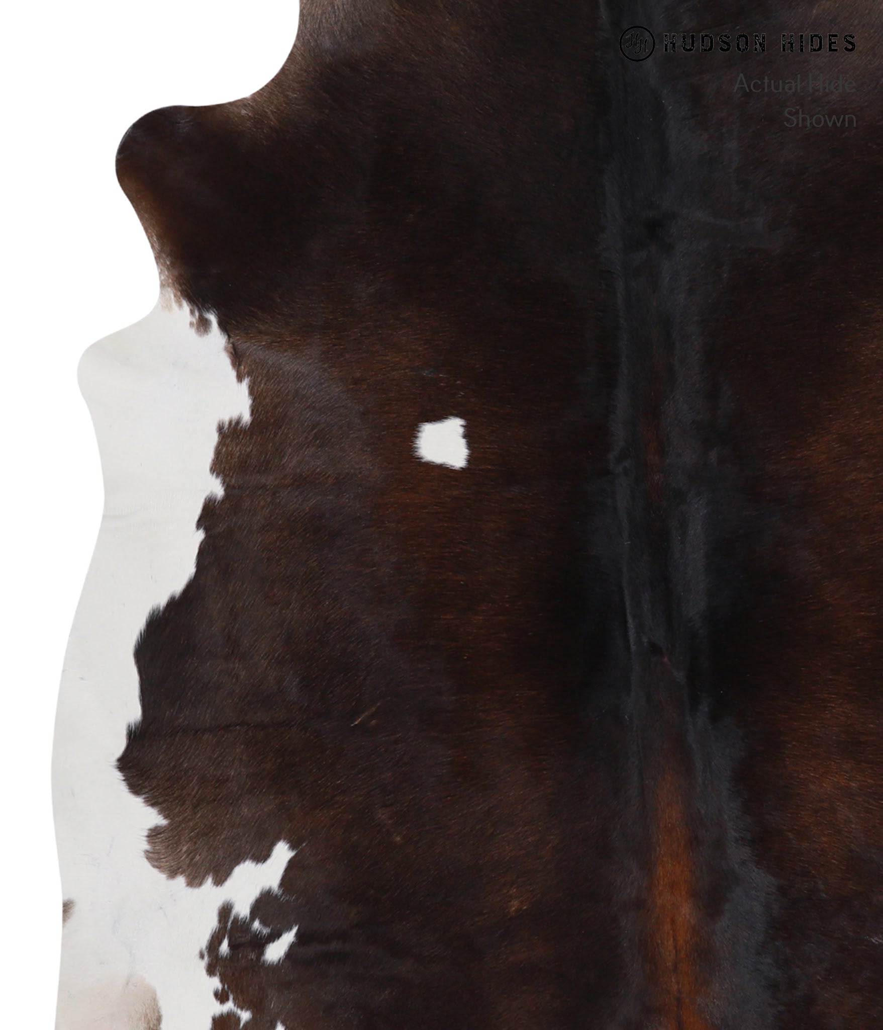 Chocolate and White Cowhide Rug #A3444