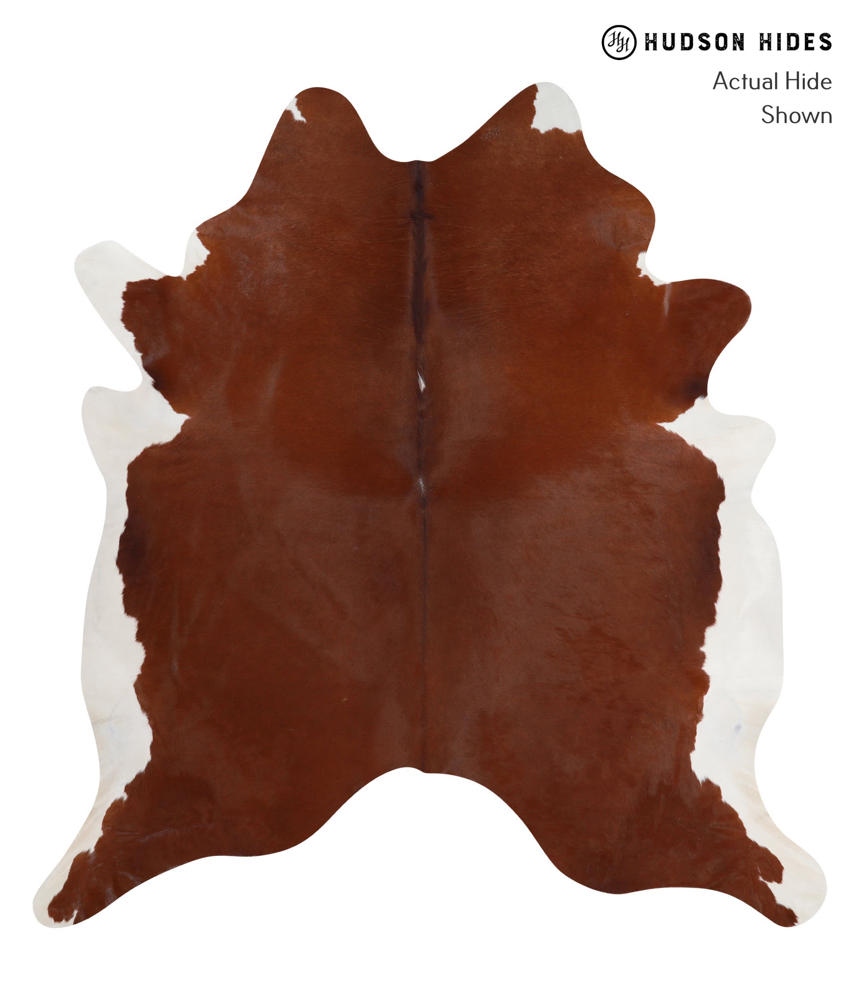 Brown and White Regular Cowhide Rug #A3462
