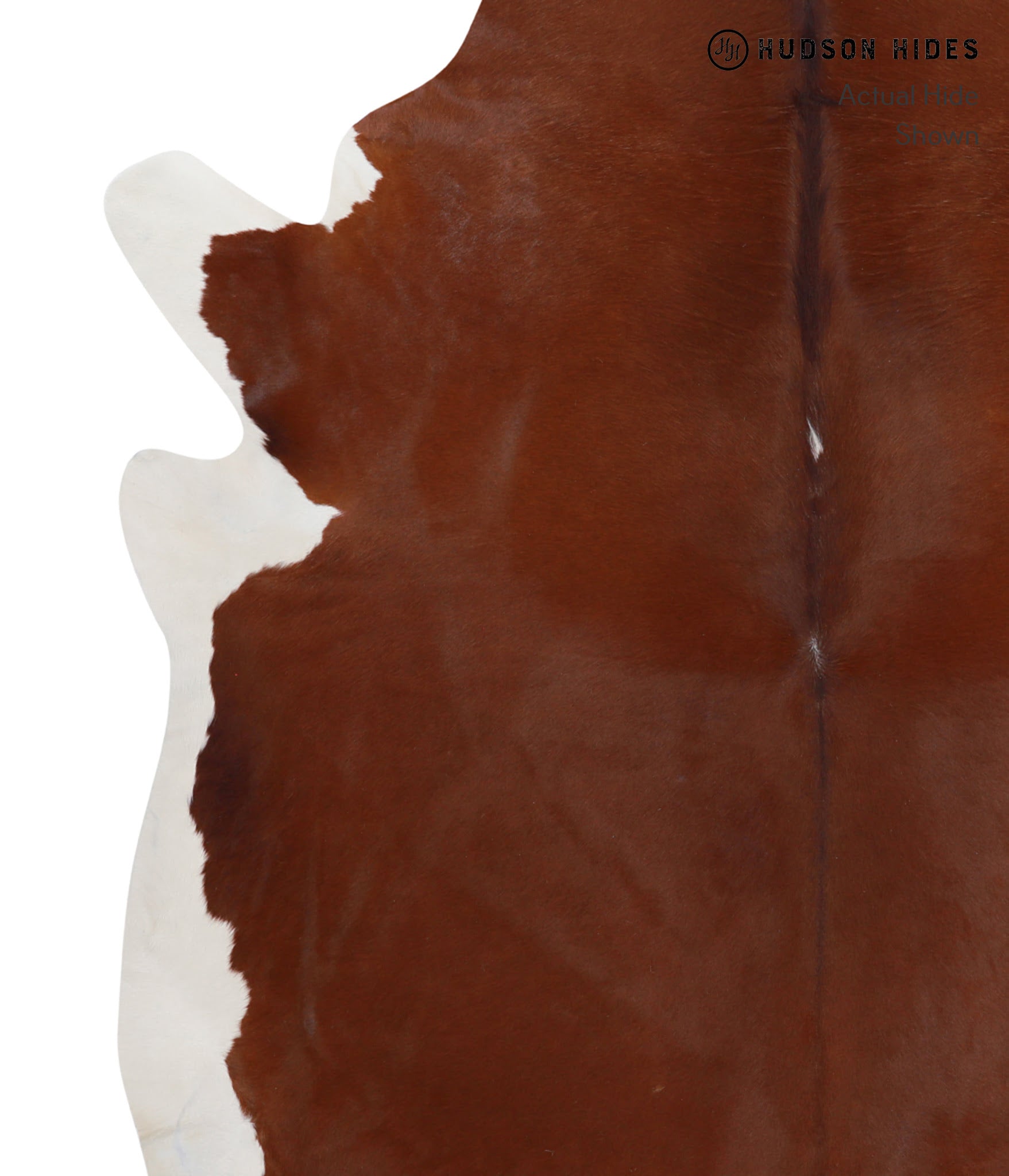 Brown and White Regular Cowhide Rug #A3462