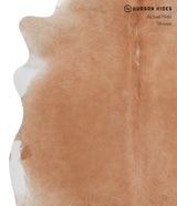 Solid Brown X-Large Brazilian Cowhide Rug 7'0"H x 6'3"W #A3466 by Hudson Hides
