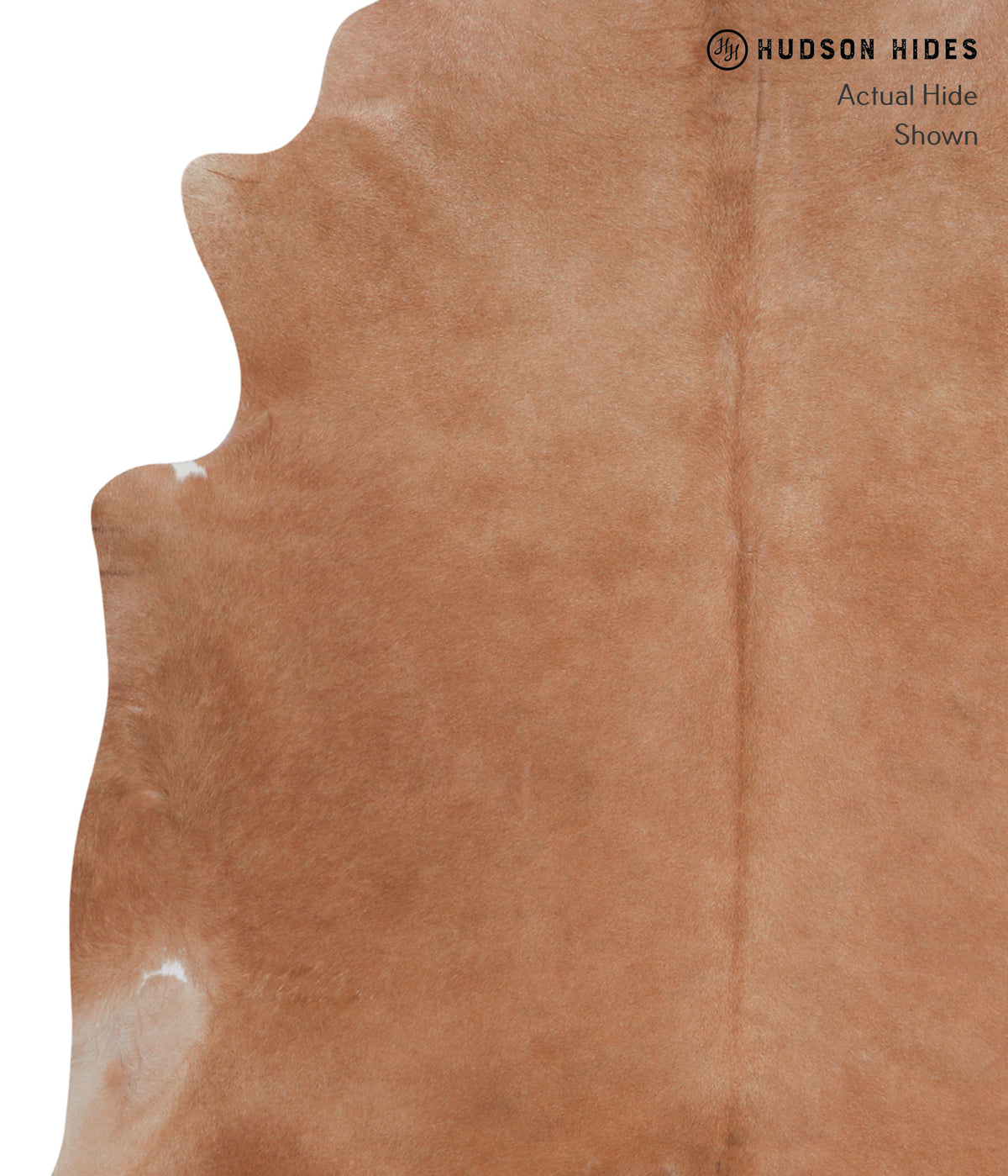 Solid Brown X-Large Brazilian Cowhide Rug 6'11"H x 6'11"W #A3470 by Hudson Hides