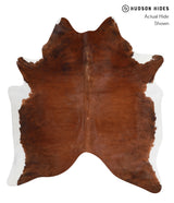 Medium Brindle X-Large Brazilian Cowhide Rug 6'11"H x 5'10"W #A3587 by Hudson Hides