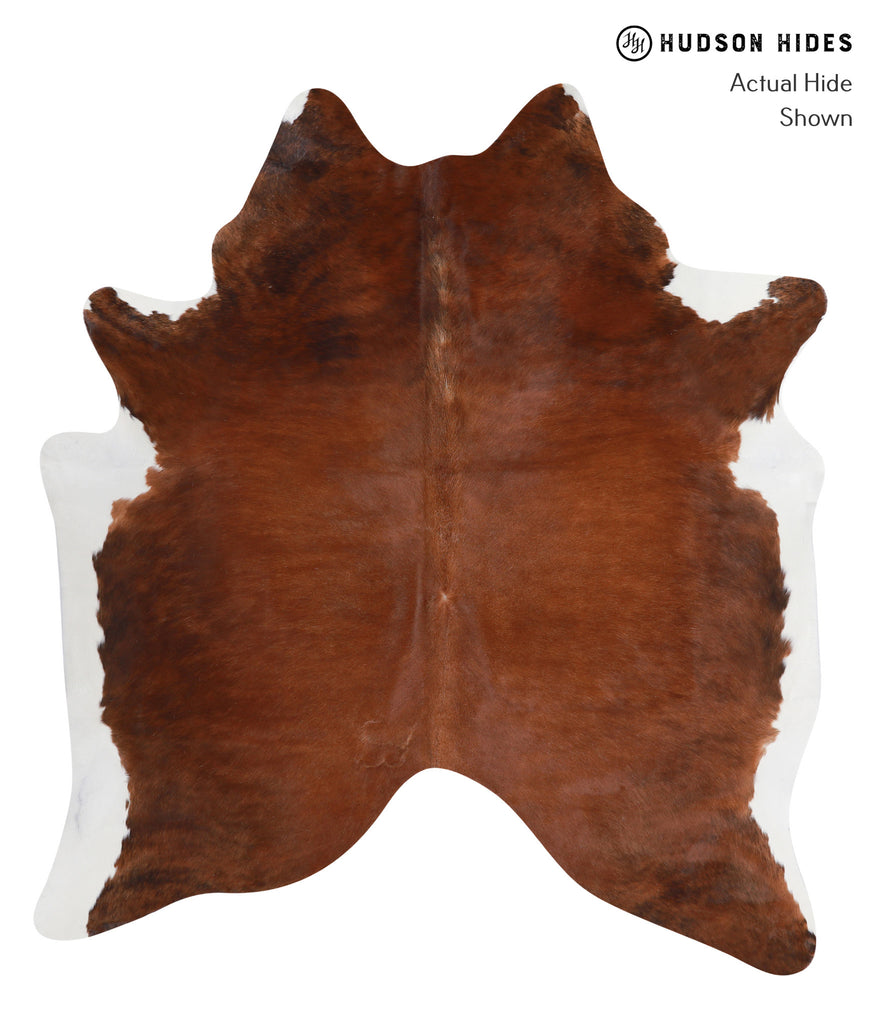 Medium Brindle X-Large Brazilian Cowhide Rug 6'11"H x 5'10"W #A3587 by Hudson Hides