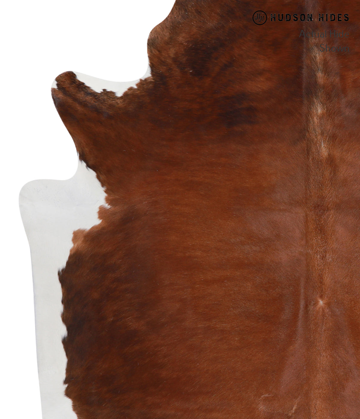 Medium Brindle X-Large Brazilian Cowhide Rug 6'11"H x 5'10"W #A3587 by Hudson Hides