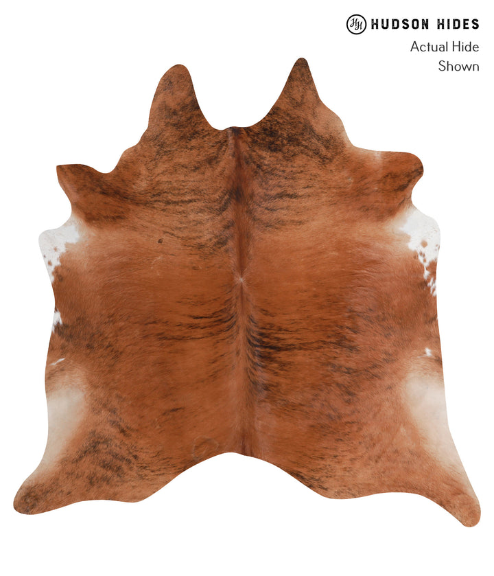Medium Brindle X-Large Brazilian Cowhide Rug 6'9"H x 6'7"W #A3614 by Hudson Hides