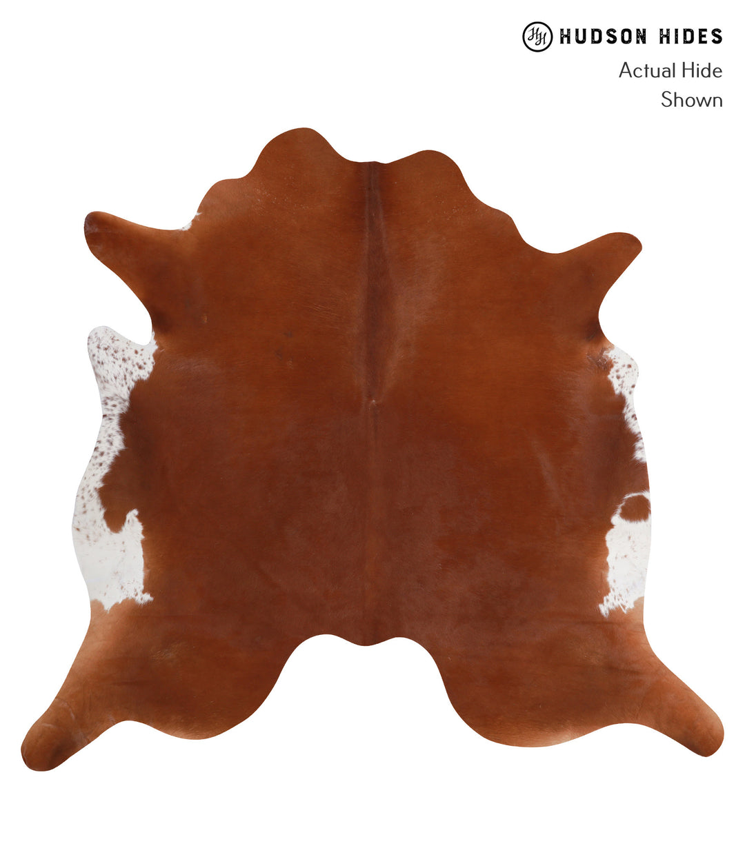 Solid Brown XX-Large Brazilian Cowhide Rug 6'11"H x 7'6"W #A3639 by Hu