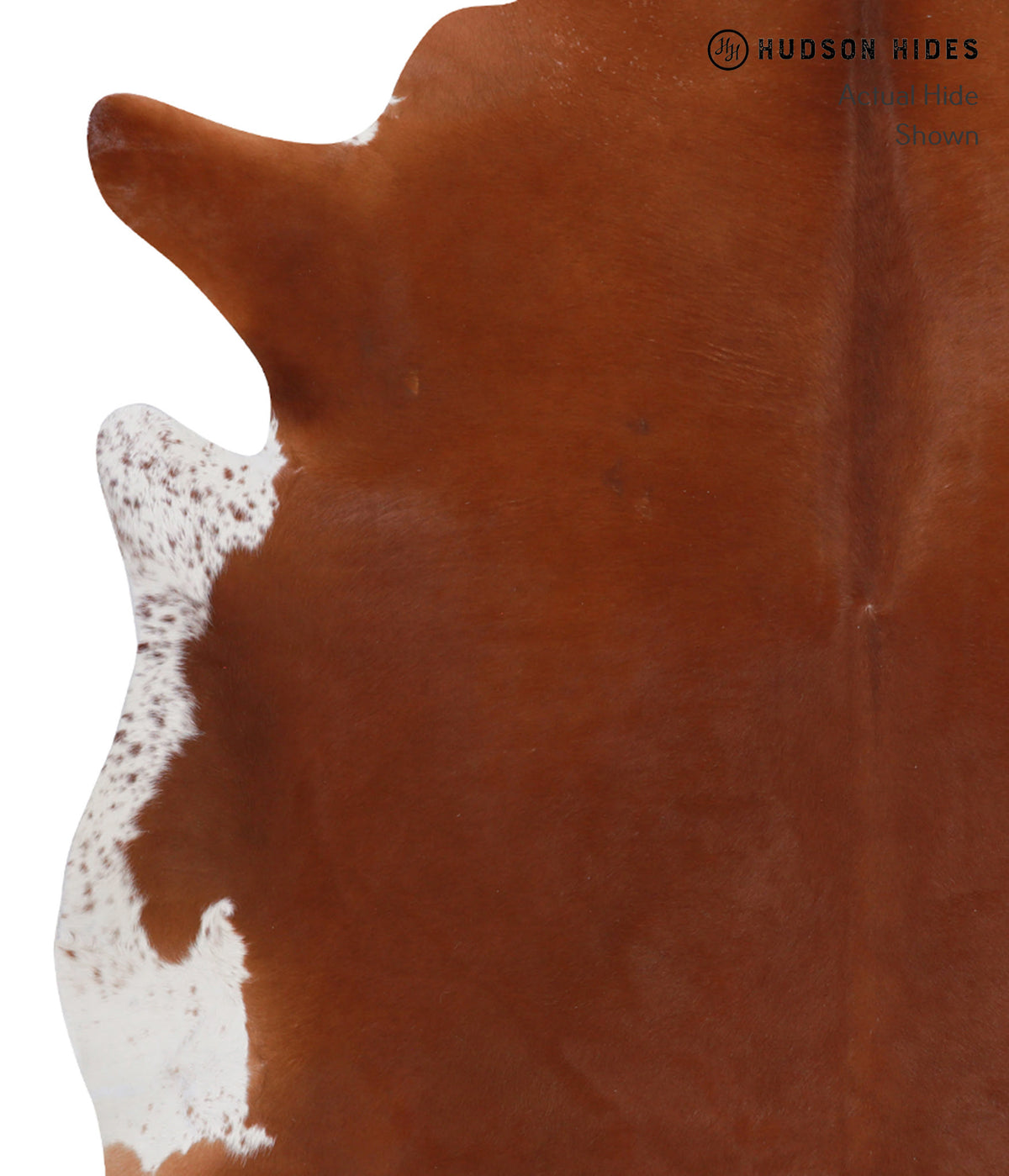 Solid Brown XX-Large Brazilian Cowhide Rug 6'11"H x 7'6"W #A3639 by Hudson Hides