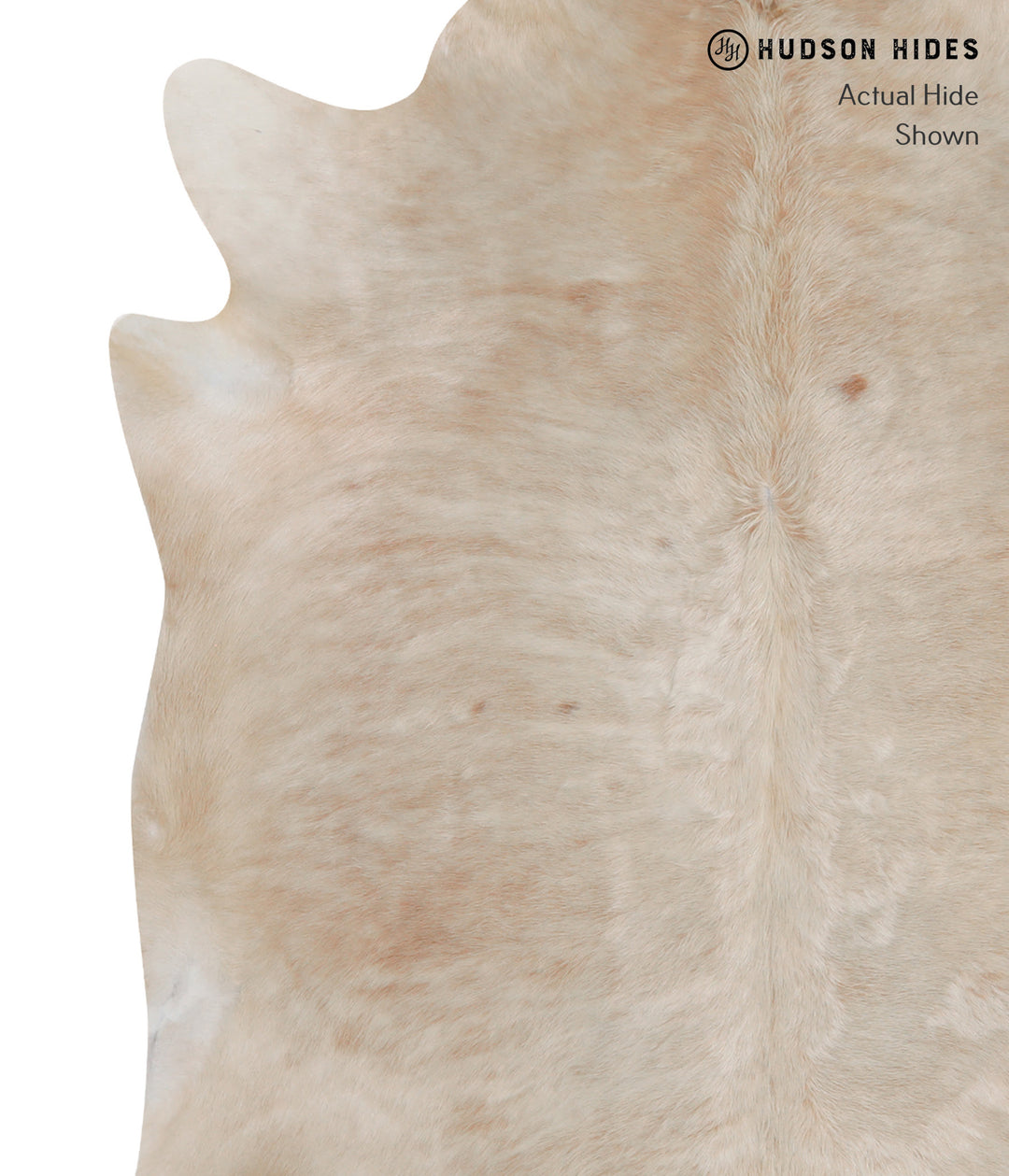 Beige XX-Large Brazilian Cowhide Rug 7'4"H x 7'1"W #A3645 by Hudson Hi