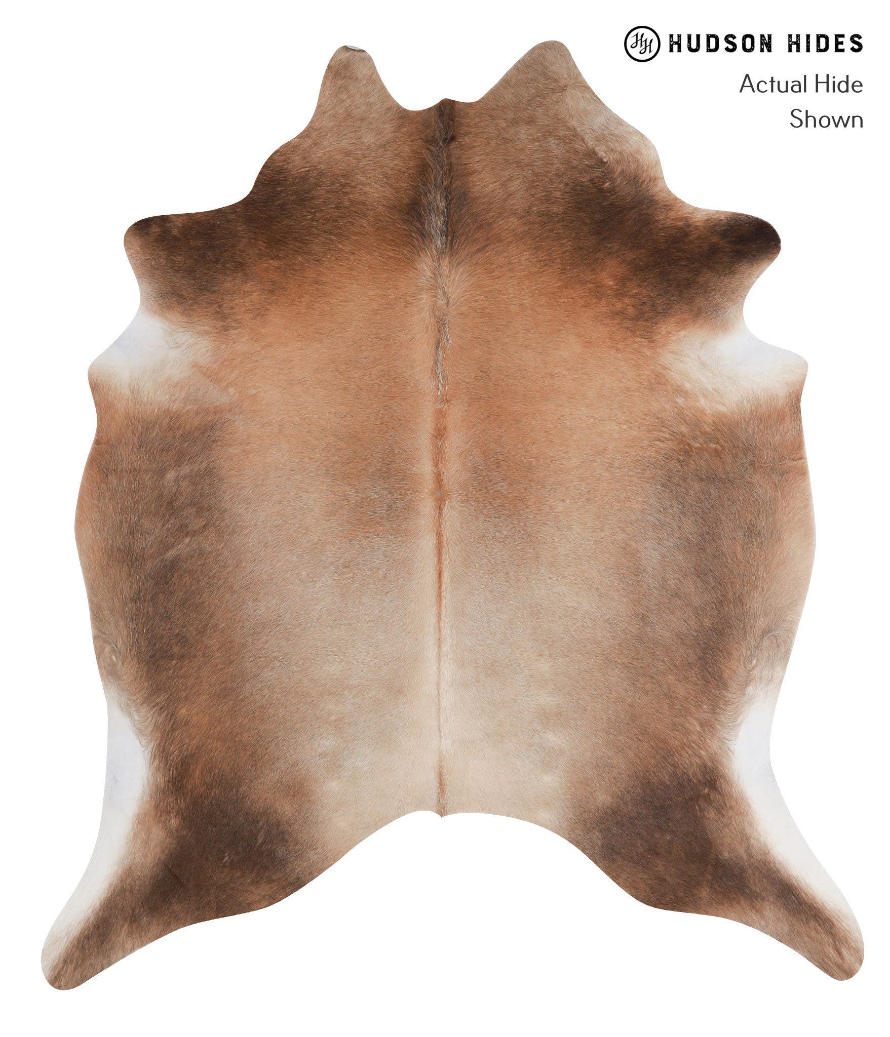 Brown with Red Cowhide Rug #A3665
