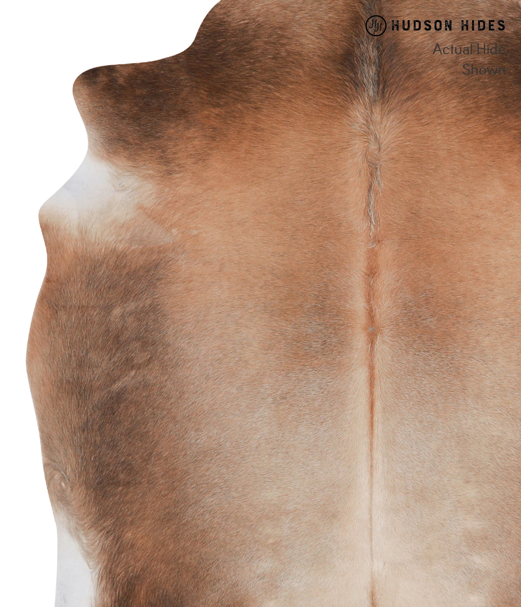 Brown with Red Cowhide Rug #A3665