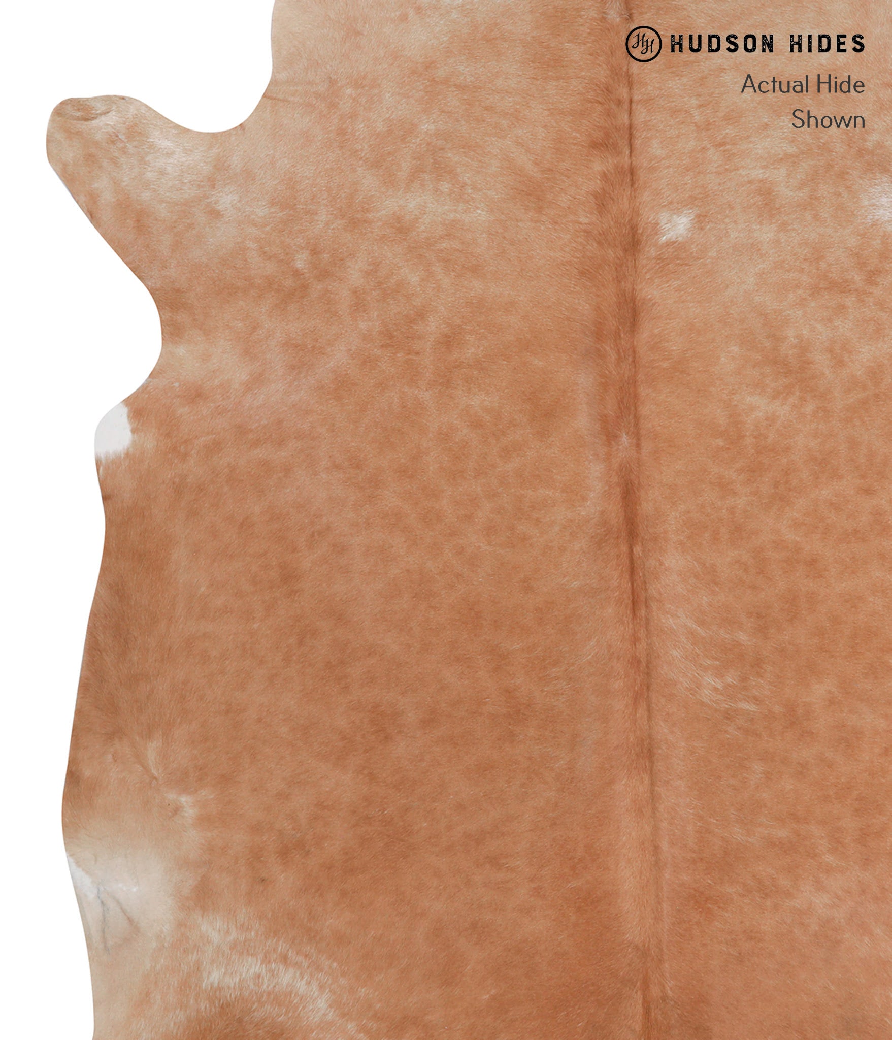 Solid Brown Cowhide Rug #A3711