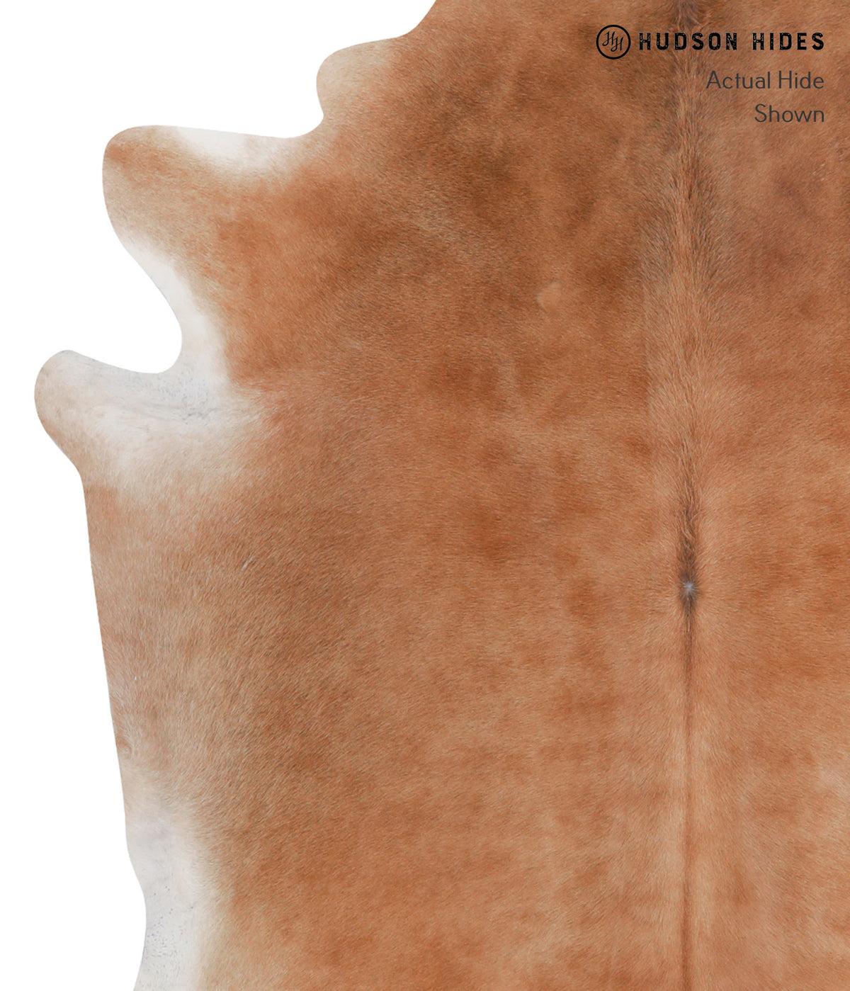 Solid Brown XX-Large Brazilian Cowhide Rug 7'8"H x 7'0"W #A3717 by Hudson Hides